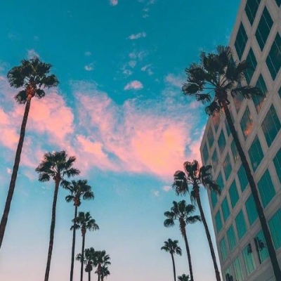 超级无敌小柿子